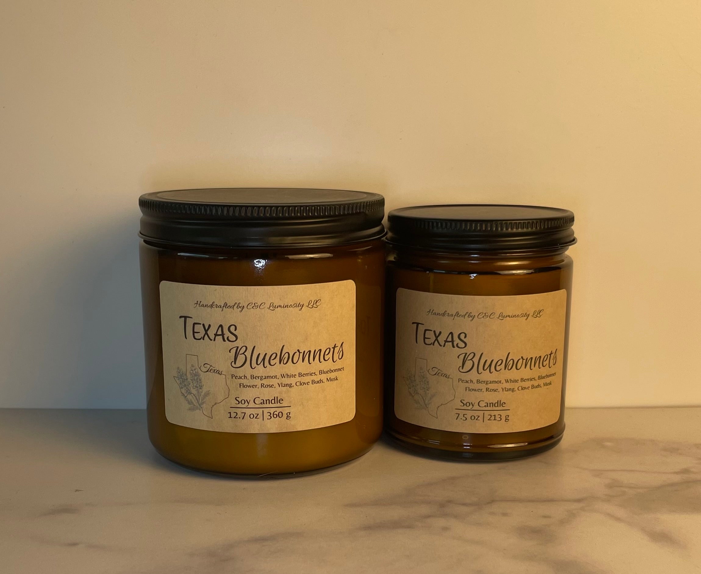 Texas Bluebonnets