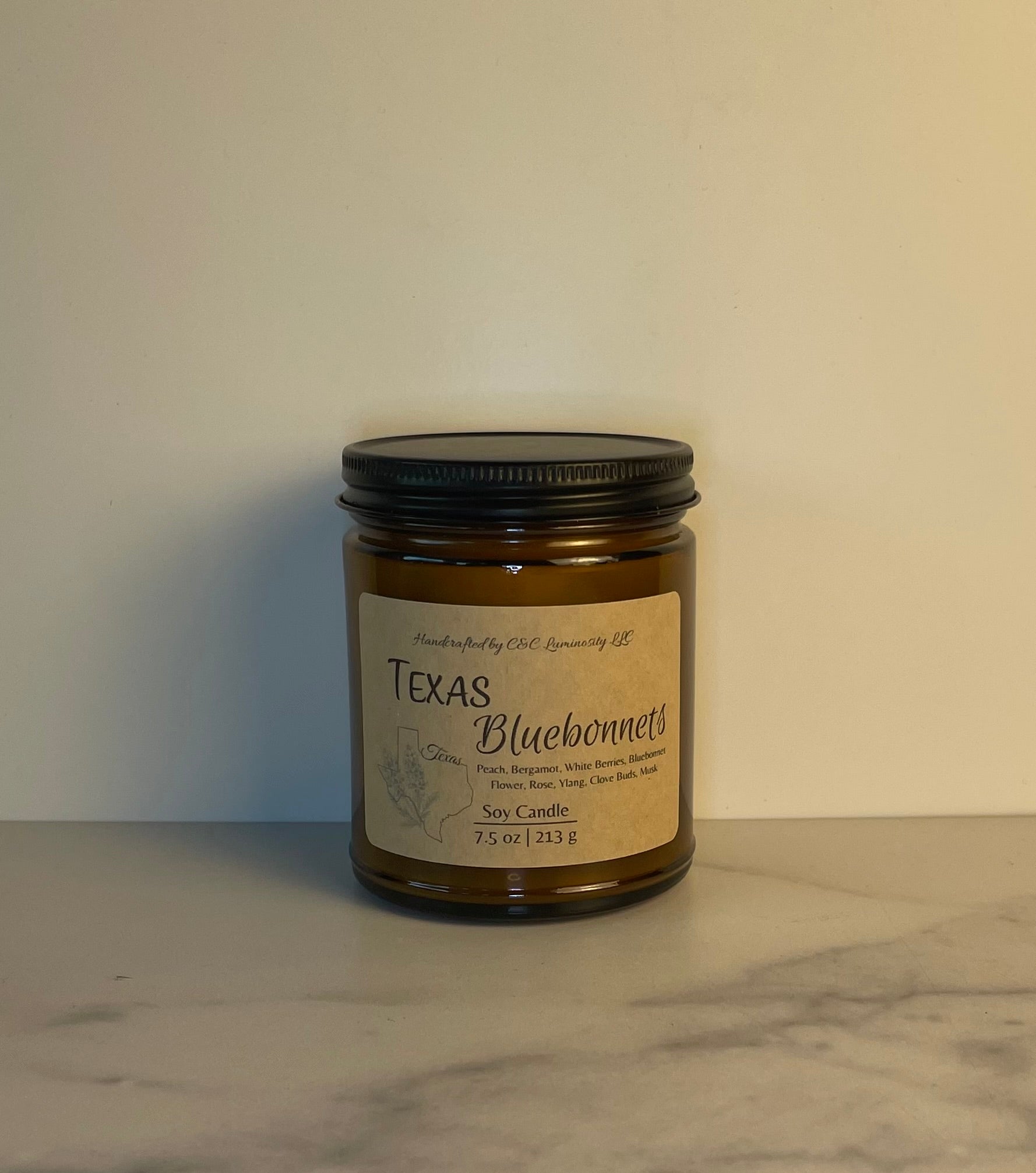 Texas Bluebonnets