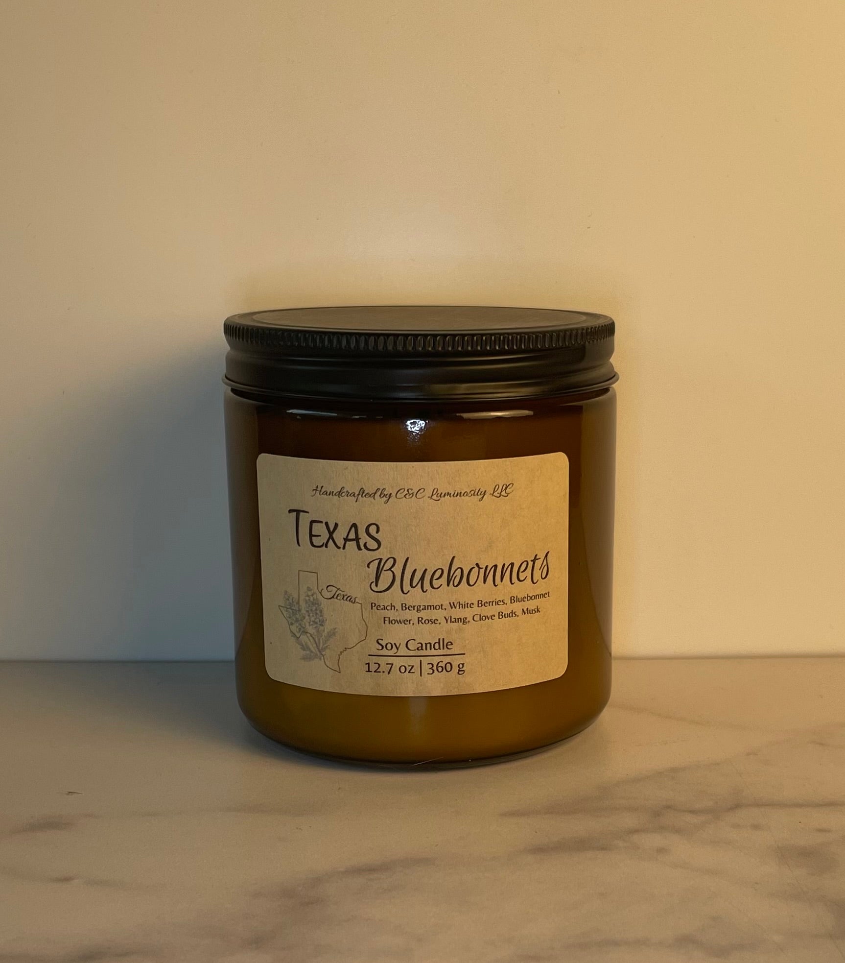 Texas Bluebonnets